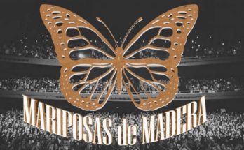 Mariposas De Madera